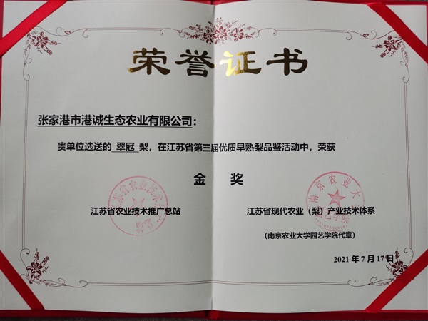 榮譽證書