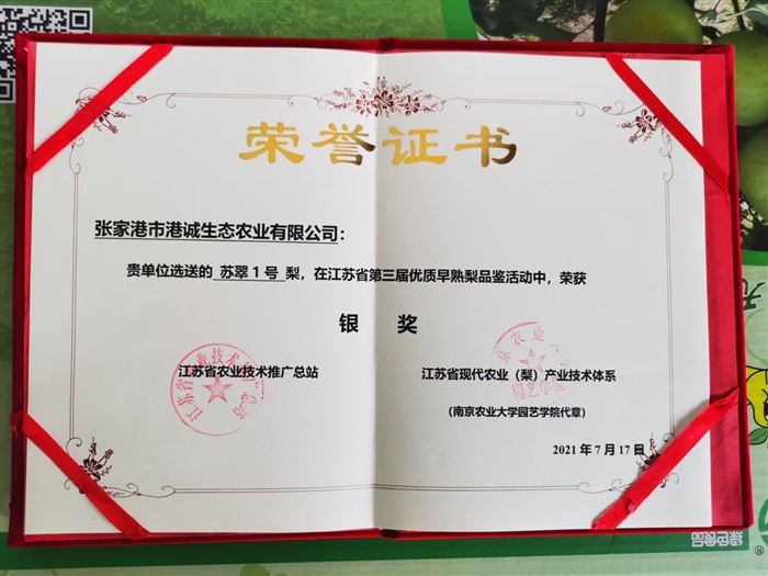 榮譽證書