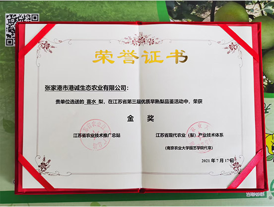 榮譽證書